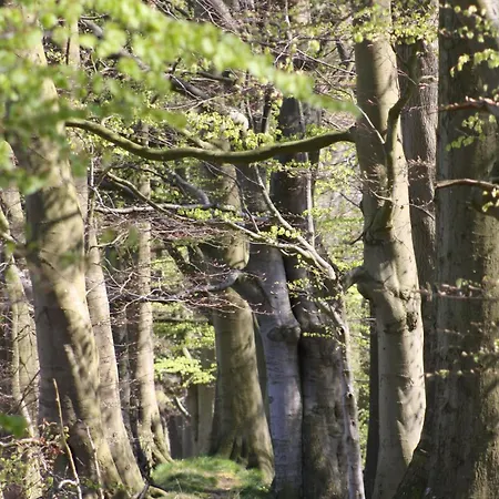 Baltic Haven Wittenbeck