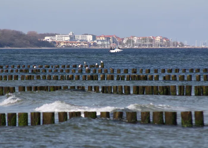 Baltic Haven 비텐베크