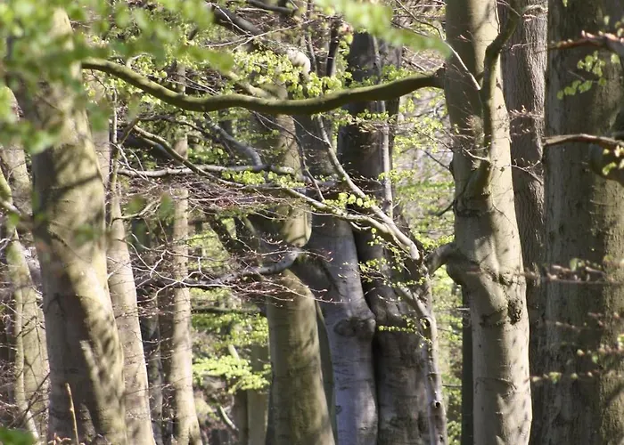 Baltic Haven 비텐베크